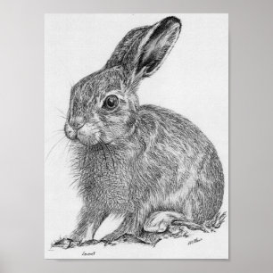 Leveret Poster