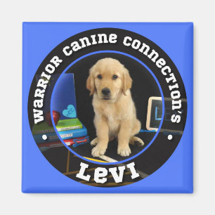 Levi magnet