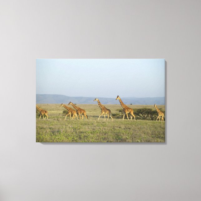 Lewa Wildlife Conservancy, Kenya Canvas Print (Front)