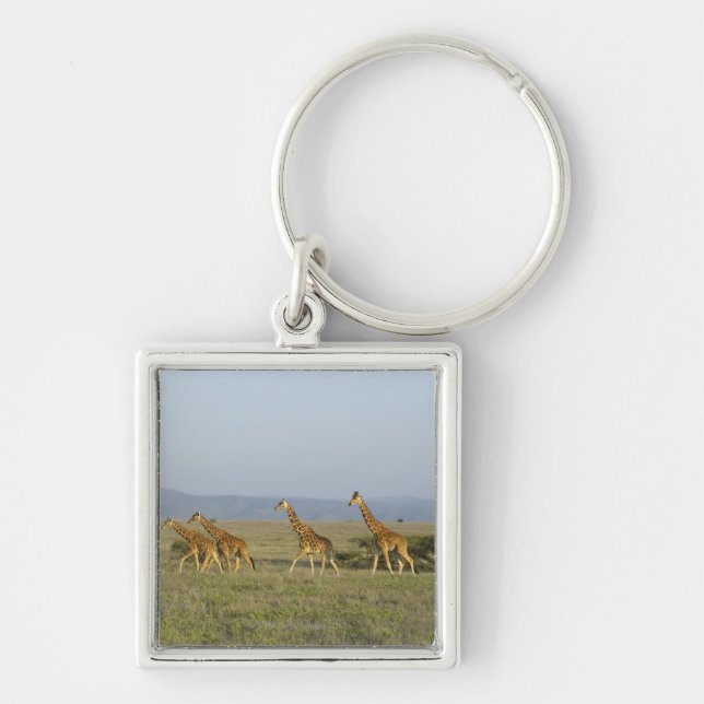 Lewa Wildlife Conservancy, Kenya Key Ring (Front)