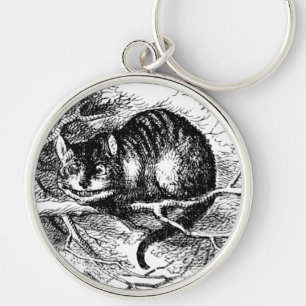 Lewis Carroll's Cheshire Cat Key Ring