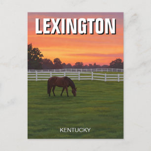 Lexington Kentucky Postcard Horse Sunset