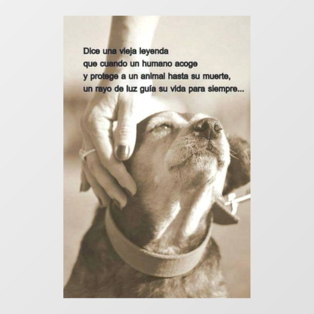 Leyenda sobre adoptar animales (Sheet)