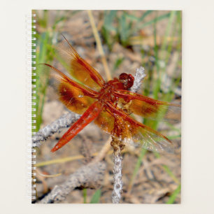 Lg Planner Orange Dragonfly