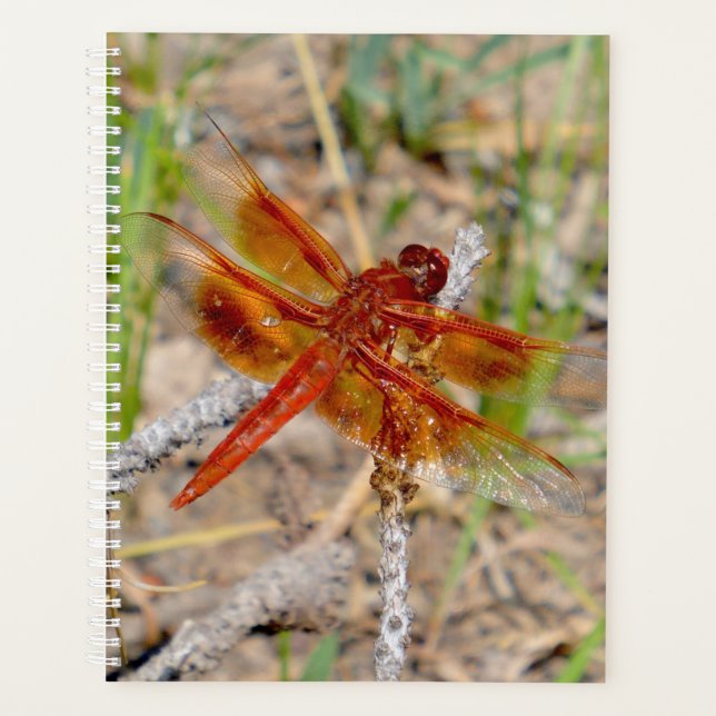 Lg Planner Orange Dragonfly (Front)