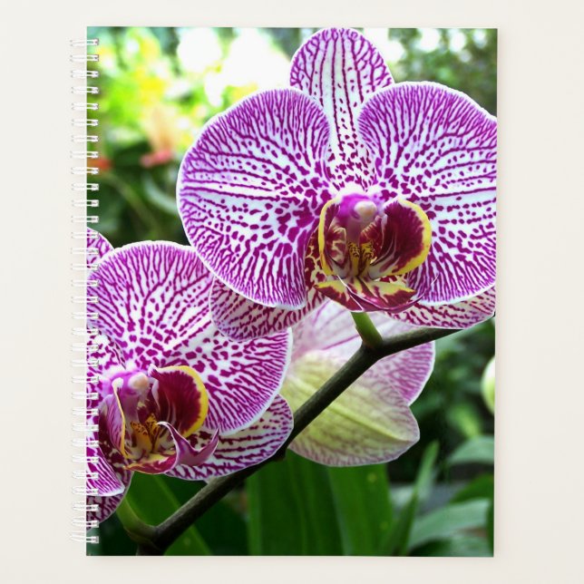 Lg Planner Purple Striped Orchids (Front)