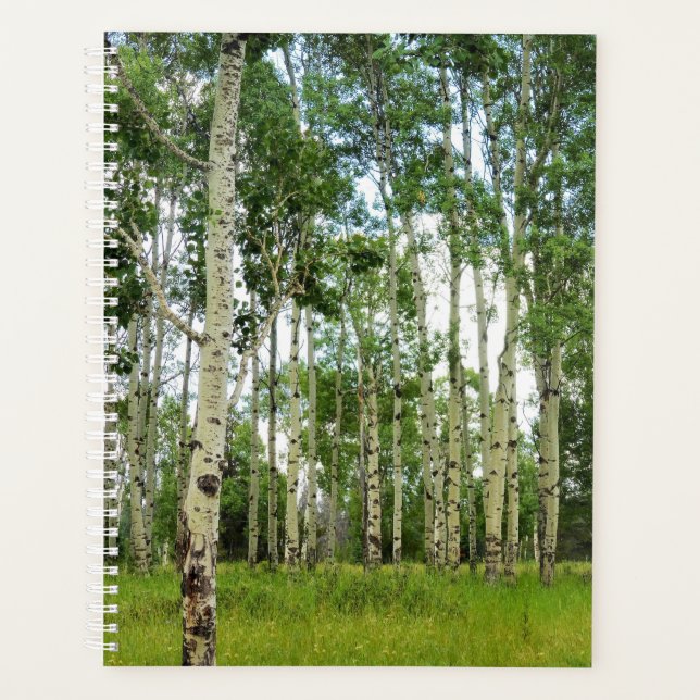 Lg Planner Quaking Aspens @ Yellowstone (Front)