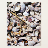 Lg Planner Seashells