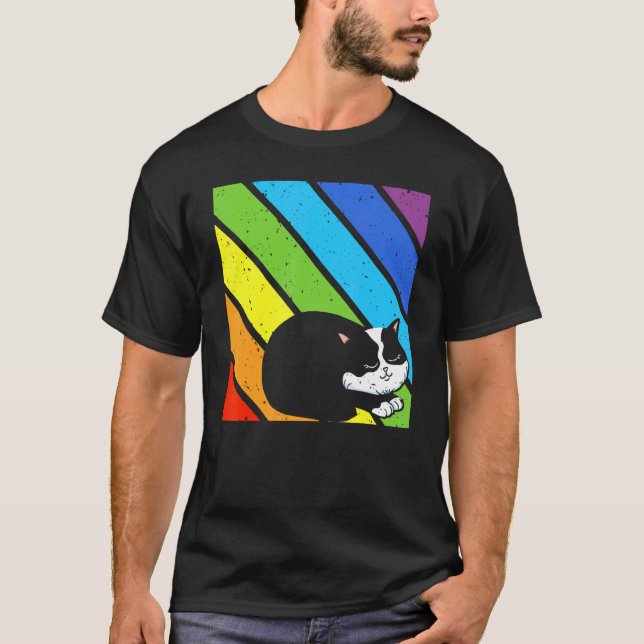 LGBT Supporter Pride Ally Cat Lover Rainbow Pride T-Shirt (Front)
