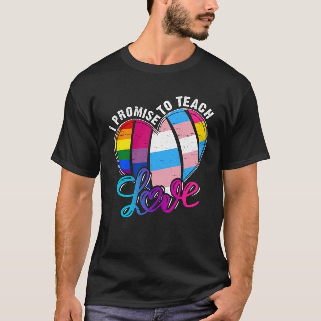 LGBT Teacher Promise To Teach Proud Allies LGBT Q  T-Shirt (Front)