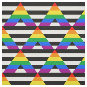 LGBTQ+ Ally Flag Fabric