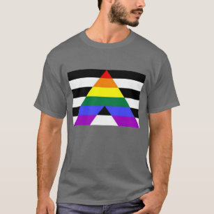  LGBTQ+ Ally Flag T-Shirt