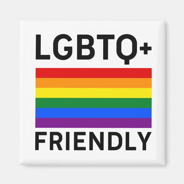 lgbtq friendly pride flag symbol Transsexual gay l Magnet (Front)