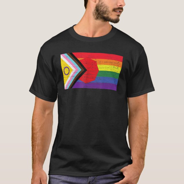 LGBTQ+ Grunge Flag Inclusive Progressive Pride Fla T-Shirt (Front)