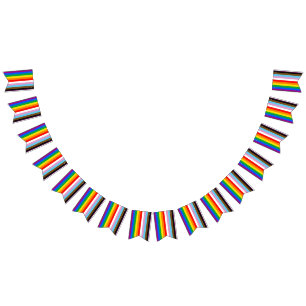 LGBTQ+ INCLUSIVE PRIDE FLAG