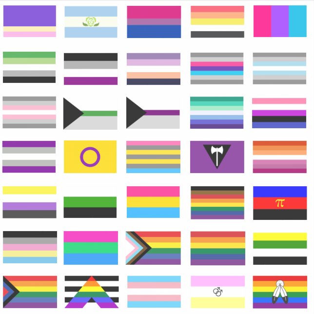 LGBTQ+ Pride Flags (Front)