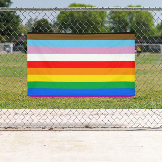 LGBTQ+ Progress Flag Stripes Banner (Insitu)
