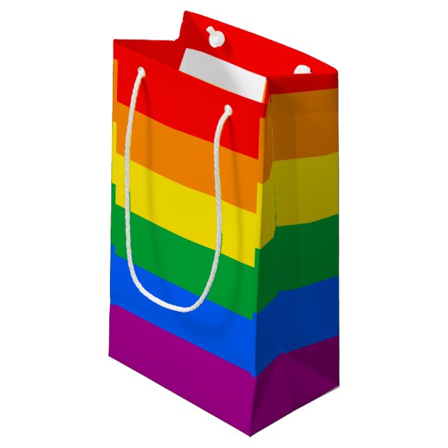 LGBTQ+ Rainbow Pride Flag Small Gift Bag (Front Angled)