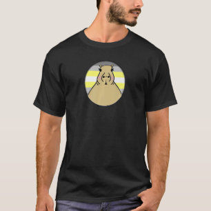 Lgbtqia+ Capybara In Demigender Pride Rainbow Circ T-Shirt