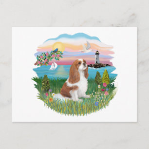 Lghthouse - Cavalier (BL-F) Postcard