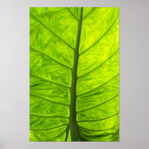 LGL POSTER