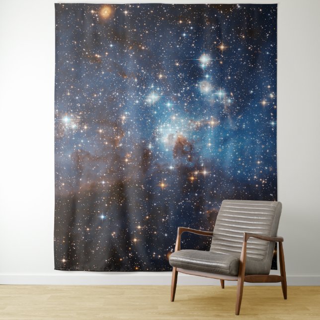 LH 95 Star forming region NASA Tapestry (In Situ)