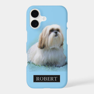 Lhasa Apso