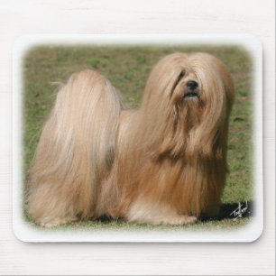 Lhasa Apso 9Y394D-079 Mouse Pad