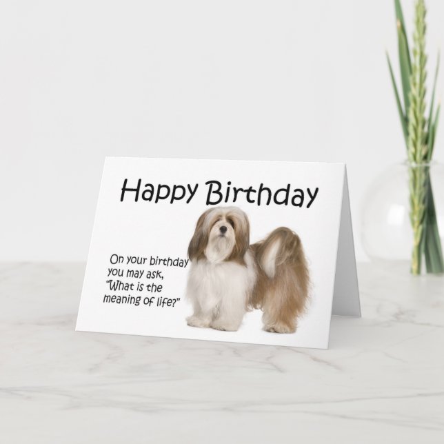 Lhasa Apso Birthday Card (Front)