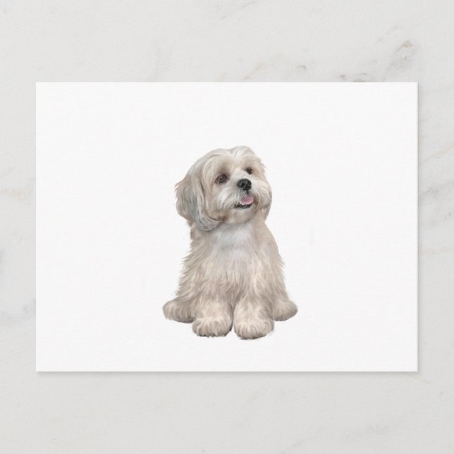 Lhasa Apso (C) - Light gold Postcard (Front)