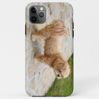 Lhasa Apso dog in a garden Case-Mate iPhone Case