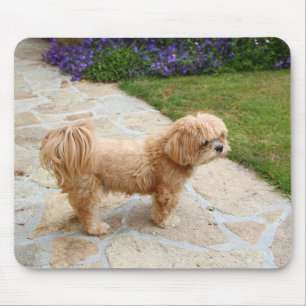 Lhasa Apso dog in a garden Mouse Pad