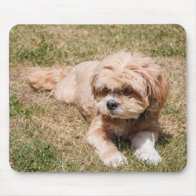 Lhasa Apso dog Mouse Pad (Front)