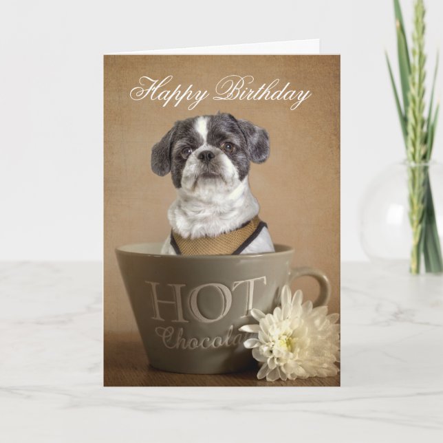 Lhasa apso greetings card (Front)