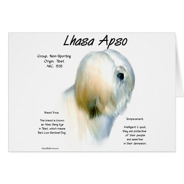 Lhasa Apso History Design (Front Horizontal)