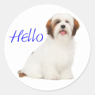 Lhasa Apso Puppy Dog  Canine Pup Sticker / Label