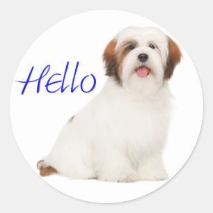 Lhasa Apso Puppy Dog Sticker / Label