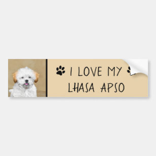 Lhasa Apso Puppy Painting - Cute Original Dog Art Bumper Sticker