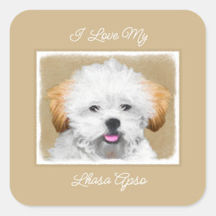Lhasa Apso Puppy Painting - Cute Original Dog Art  Square Sticker