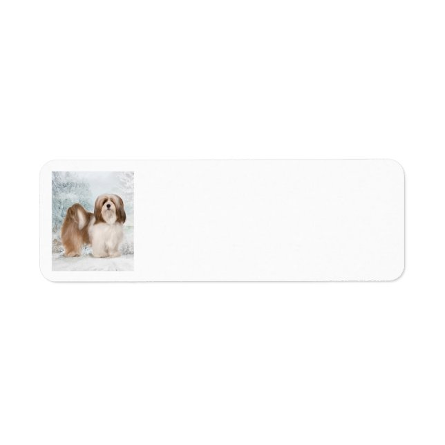 Lhasa Apso Return Address Label (Front)