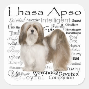 Lhasa Apso Stickers