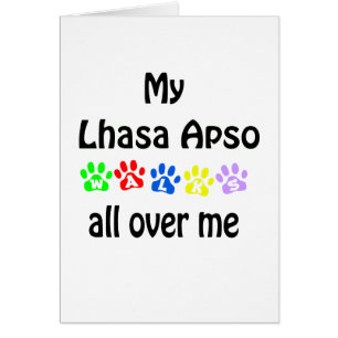 Lhasa Apso Walks Design