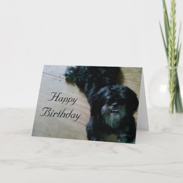 LHASA APSO WISHES FOR A HAPPY BIRTHDAY CARD (Front)