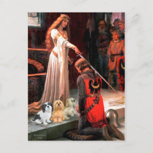 Lhasa Apsos (three) - The Accolade Postcard