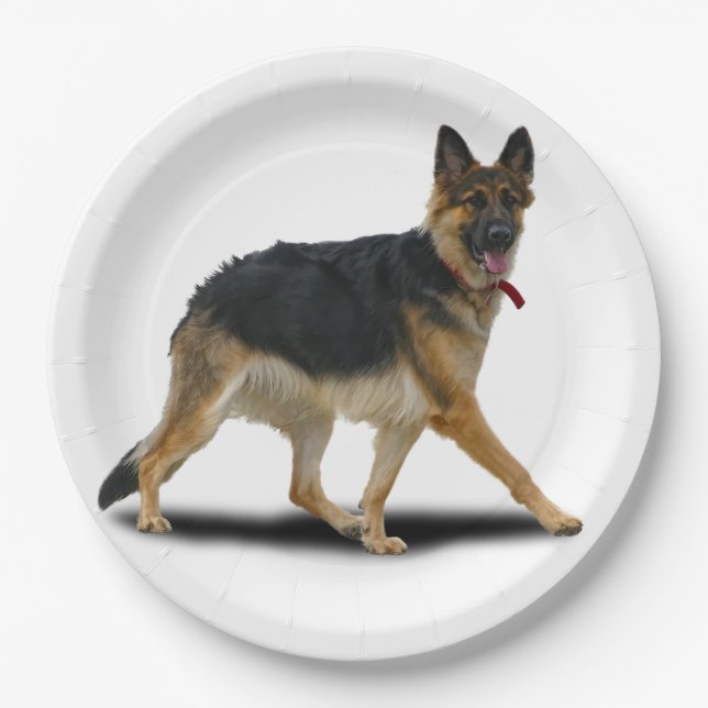 LIBBY PAPER PLATE (Front)