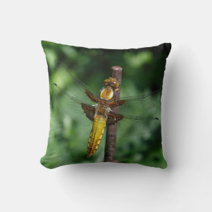 Libellula depressa cushion