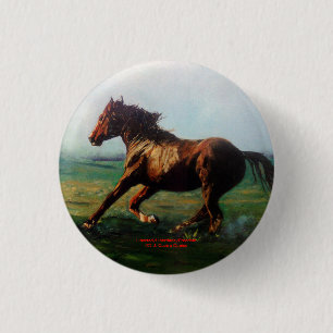 Libertad/Liberdade/Freedom 3 Cm Round Badge
