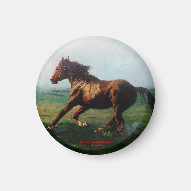 Libertad/Liberdade/Freedom Magnet (Front)