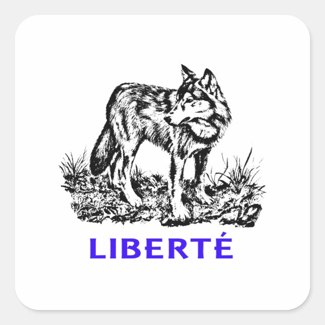 Liberté - Loup dans la nature sauvage Square Sticker (Front)