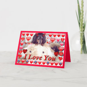 LIBERTY DOG STORE DACHSHUND VALENTINE CARDS - GIFT